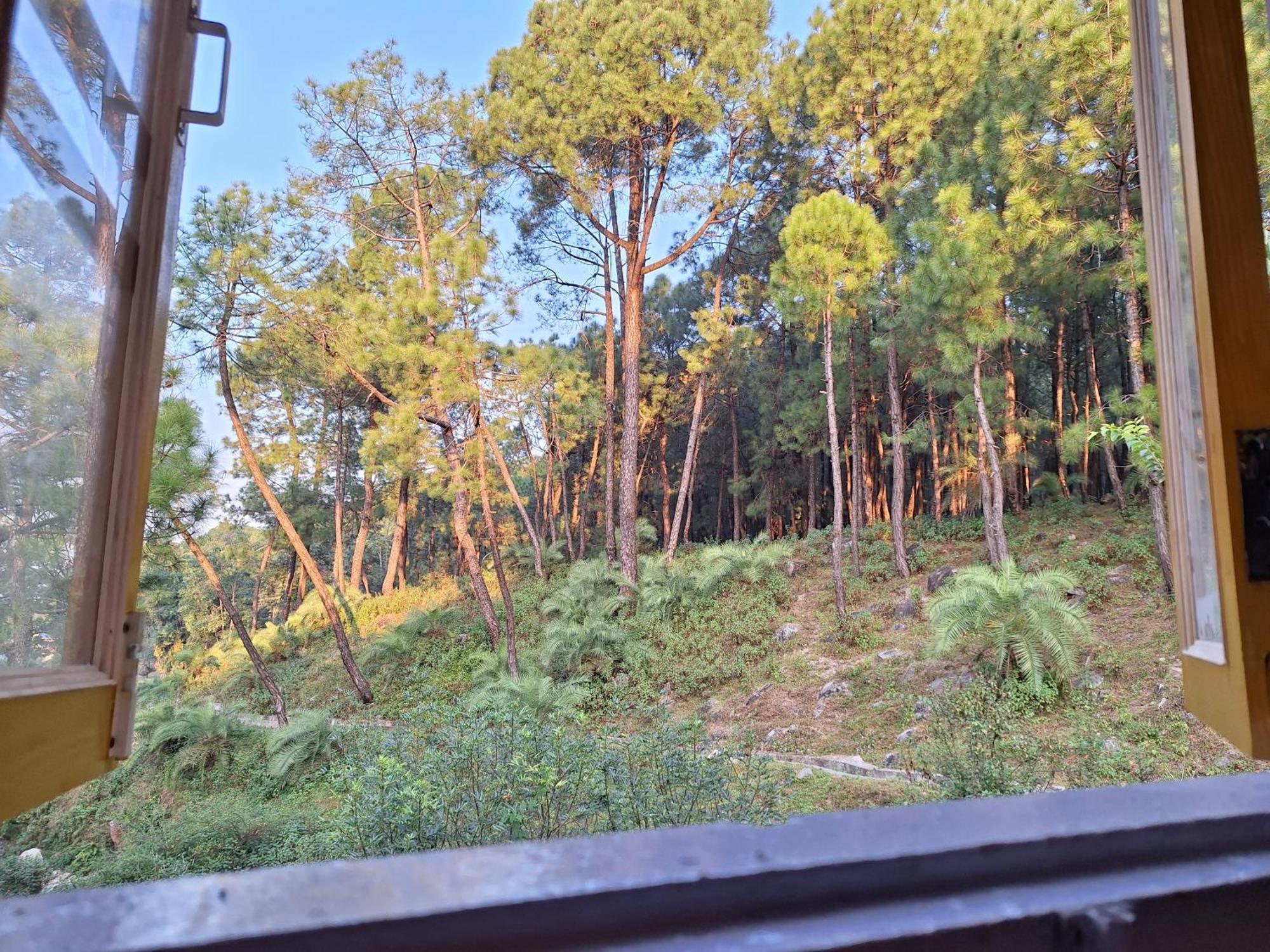 Tathastu Bir -Homestay ,Dorm,Hostel ภายนอก รูปภาพ