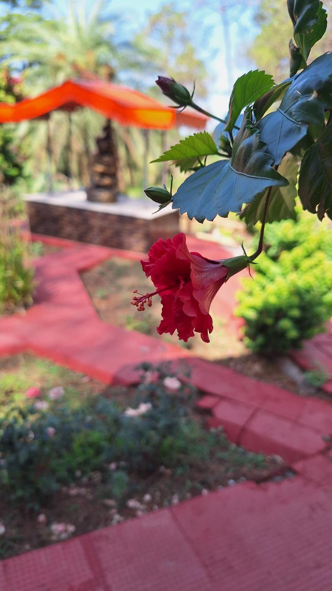 Tathastu Bir -Homestay ,Dorm,Hostel ภายนอก รูปภาพ