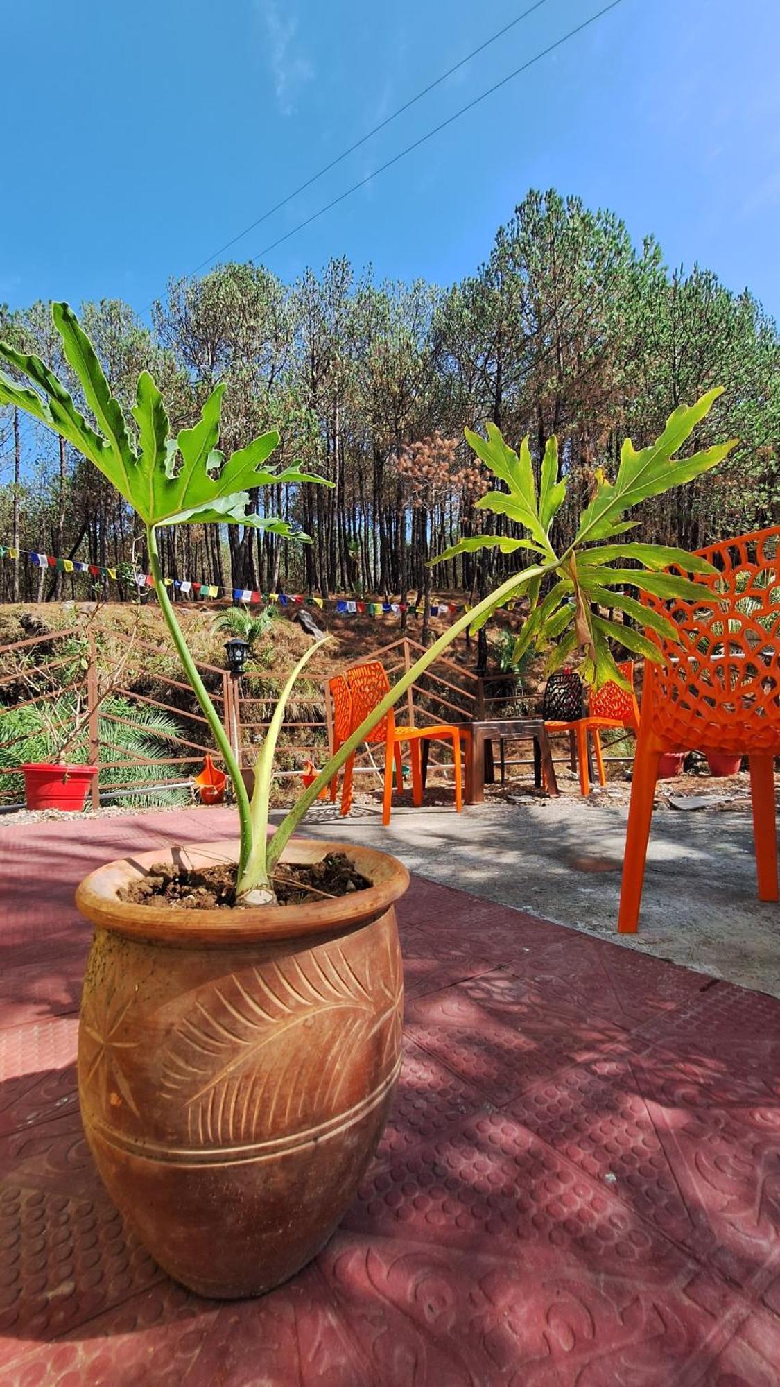 Tathastu Bir -Homestay ,Dorm,Hostel ภายนอก รูปภาพ