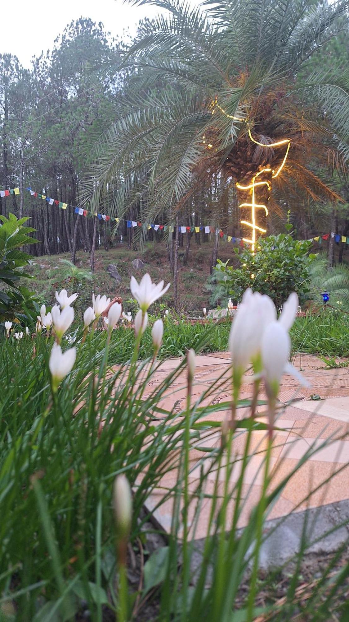 Tathastu Bir -Homestay ,Dorm,Hostel ภายนอก รูปภาพ