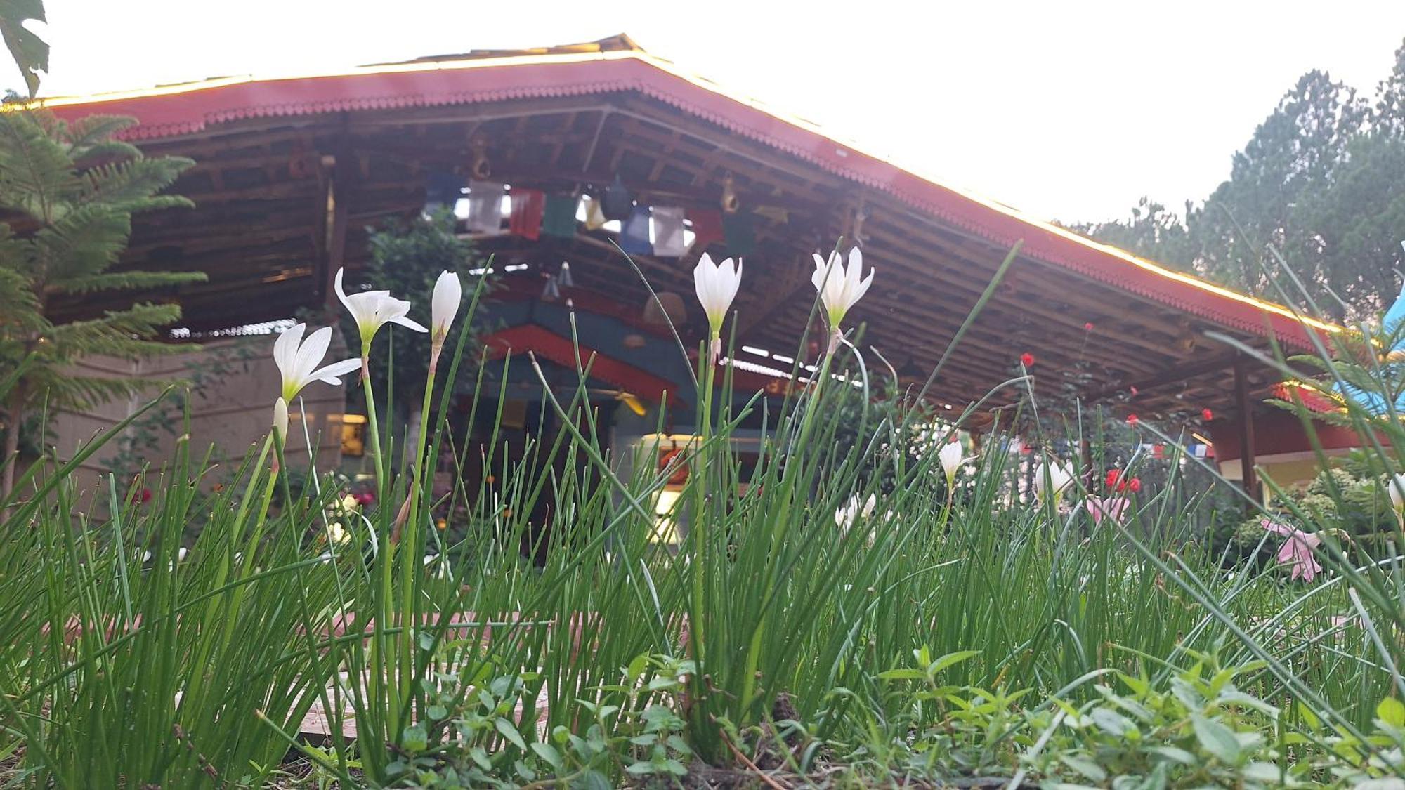 Tathastu Bir -Homestay ,Dorm,Hostel ภายนอก รูปภาพ
