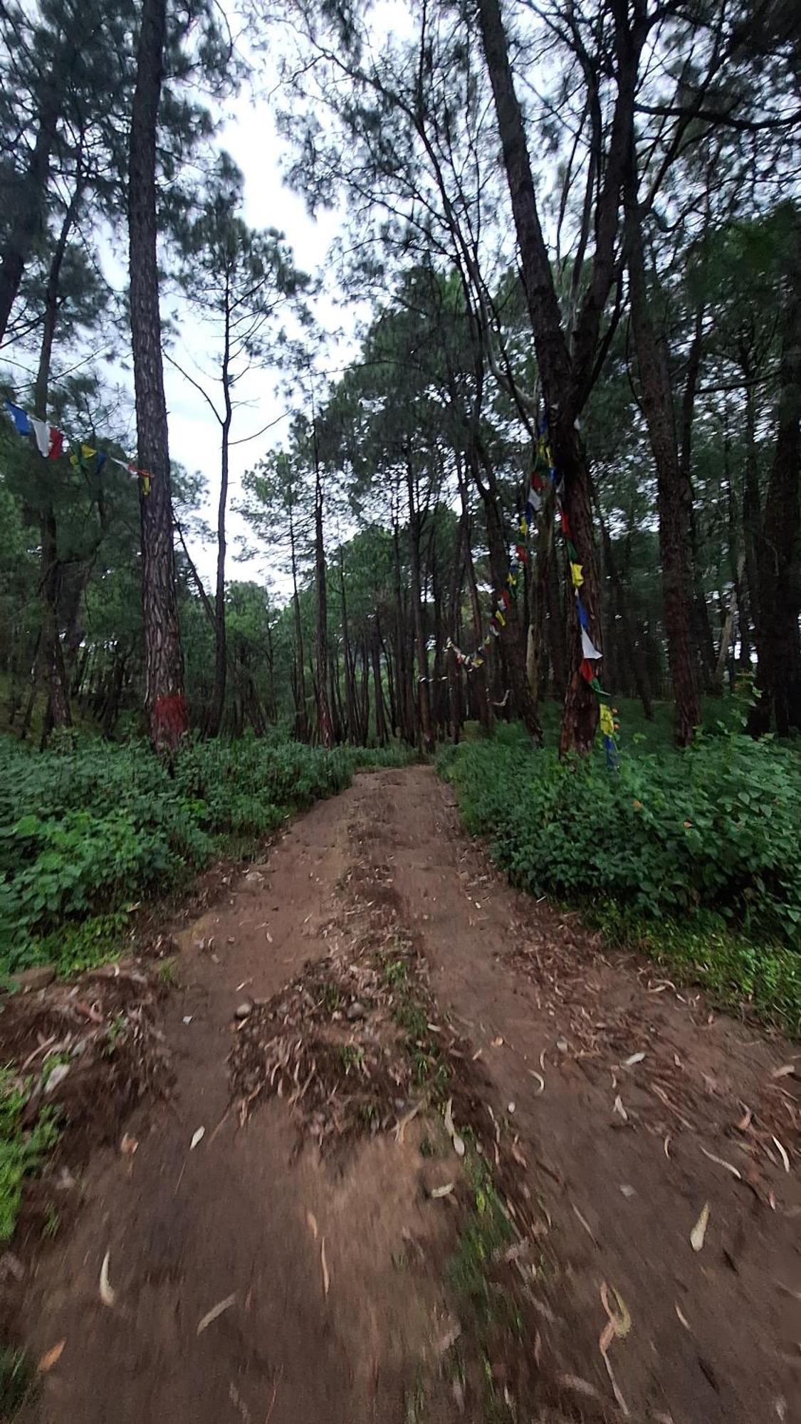 Tathastu Bir -Homestay ,Dorm,Hostel ภายนอก รูปภาพ