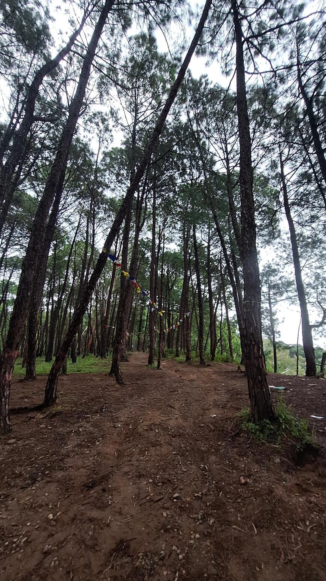 Tathastu Bir -Homestay ,Dorm,Hostel ภายนอก รูปภาพ